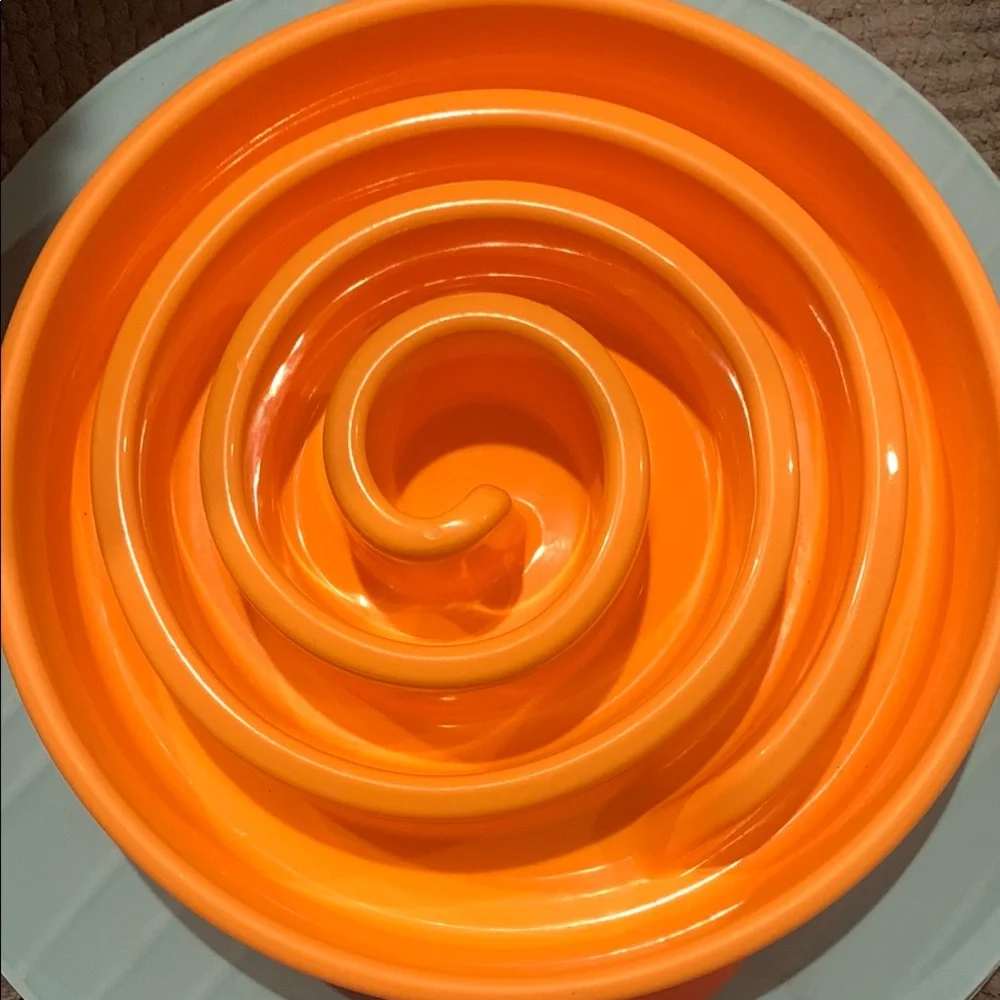 Slow Feeder Bowl Outward Hound